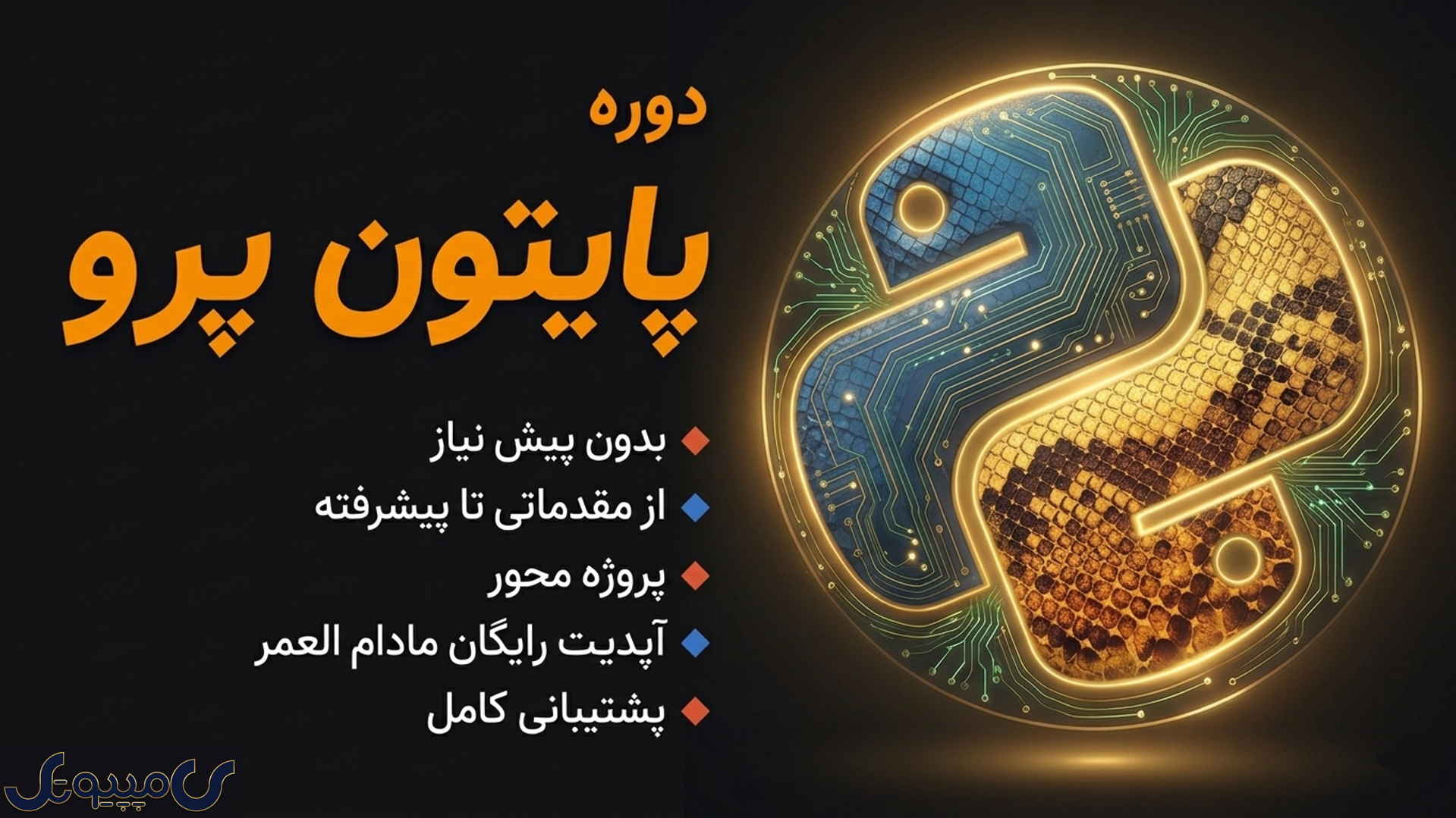 پایتون پرو
